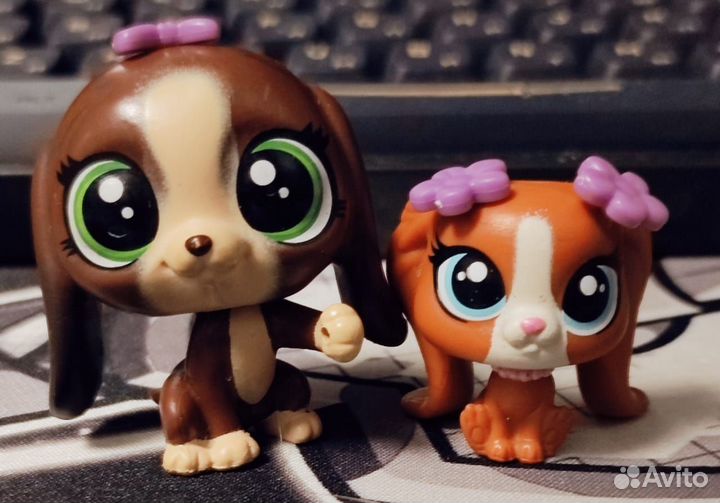 Littlest pet shop