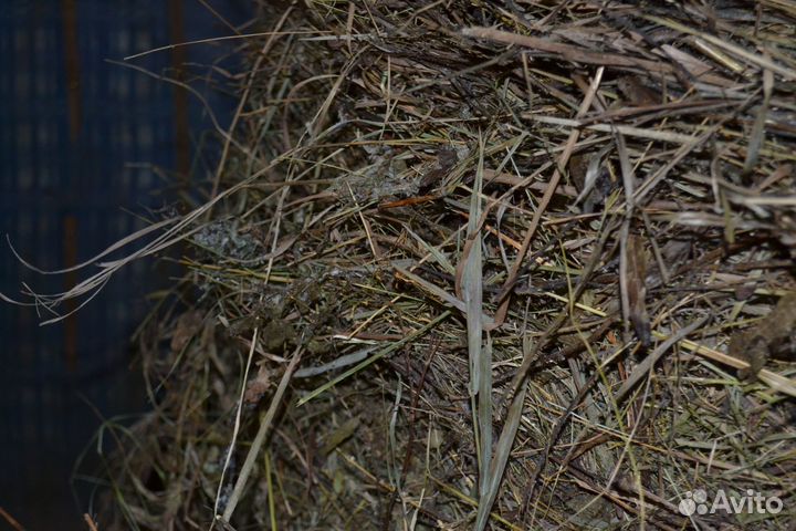 Сено мешками