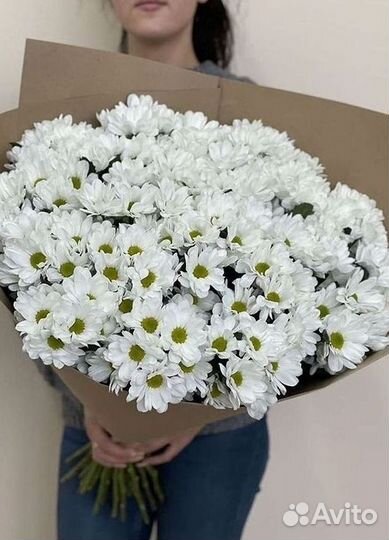 Хризантема Доставка цветов Букеты