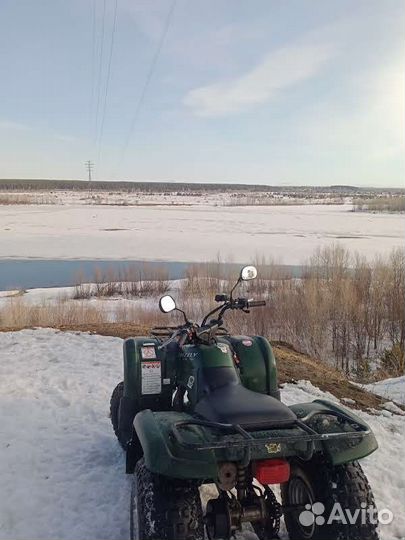Yamaha grizzly 125