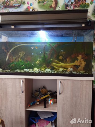 Аквариум