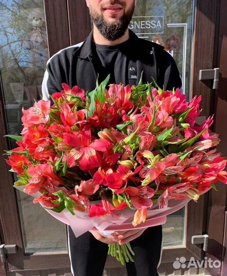 Альстромерия оптом