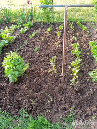 Рыхлитель почвы