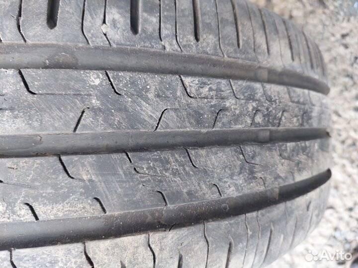 Continental ContiEcoContact 6 195/65 R15