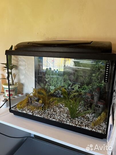 Аквариум