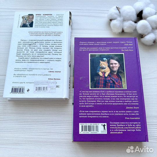 Много книг/ книга