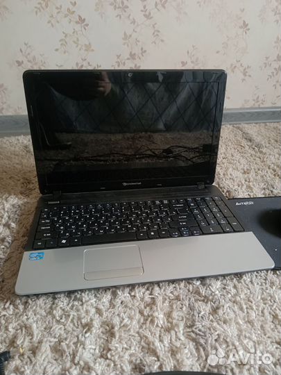 Ноутбук packard bell