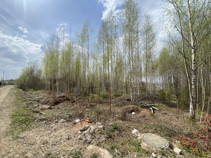 Участок 20 сот. (СНТ, ДНП)