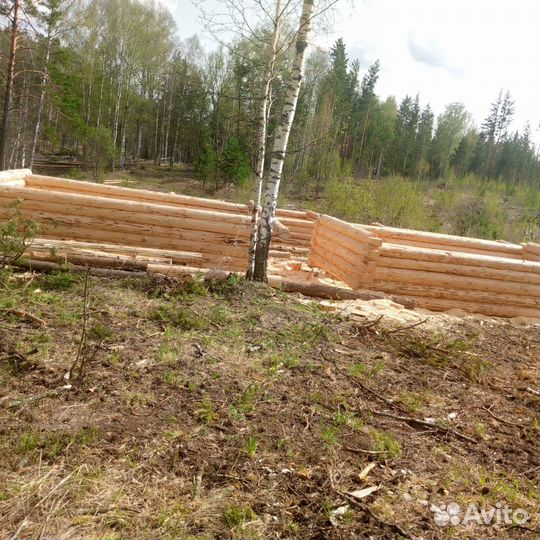 Срубы бань 3х4, 3х5, 3х6 из сосны