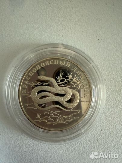 Краснопоясный динодон один рубль