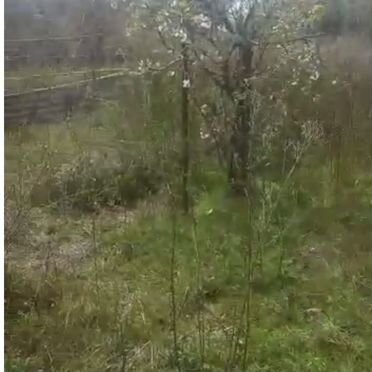 Участок 8400 м² (Абхазия)