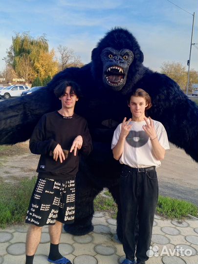 Аниматоры, Трансформер, Халк, Влад А4