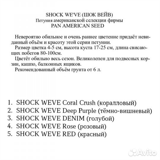 Рассада ампельной петунии