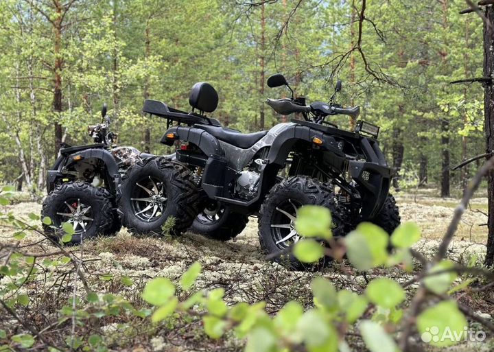 Тайванские квадроциклы promax 320 dominator 2023