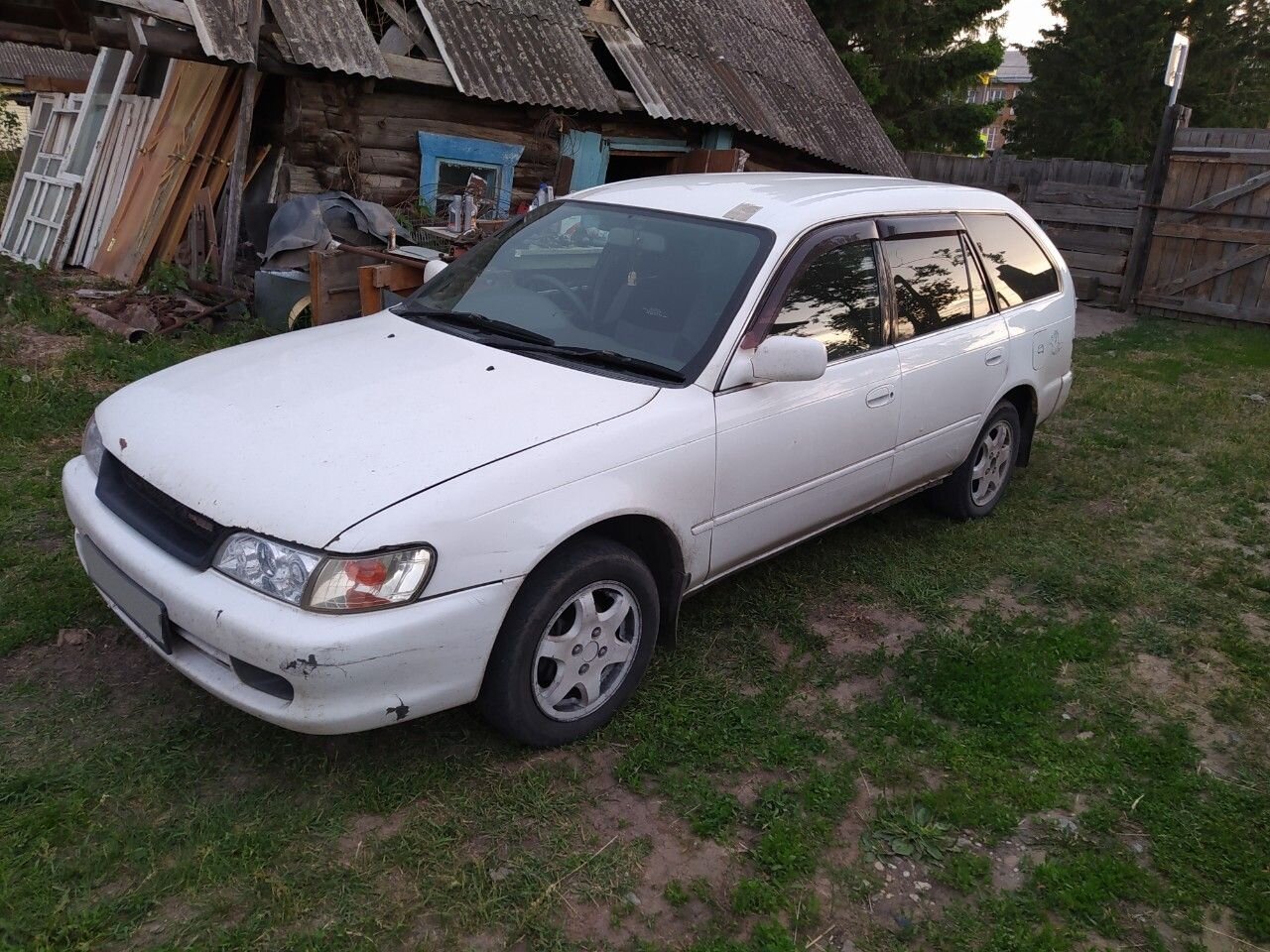 Toyota Corolla: фото владельца