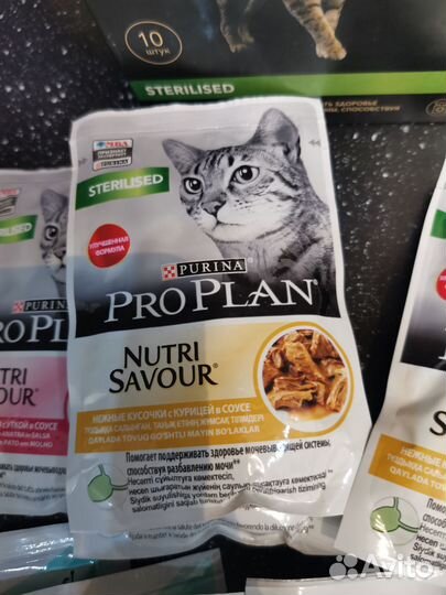 Корм для кошек проплан паучи