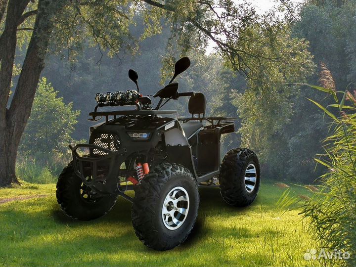 Квадроцикл promax ATV 250 PRO skaut