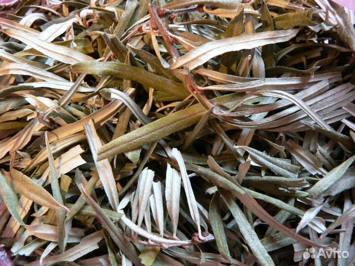 Травы цветы листья сушёные собранные в поле и лесу