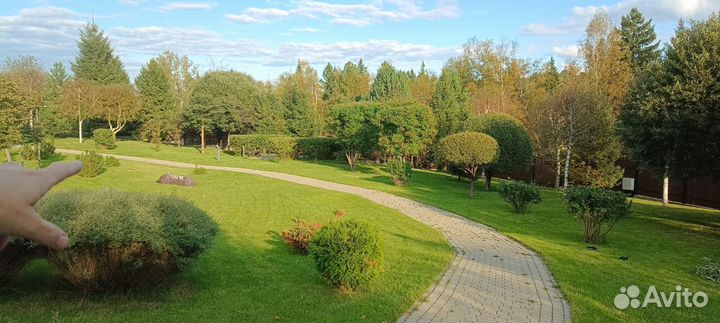 Аэрация, скарификация, кошение газона