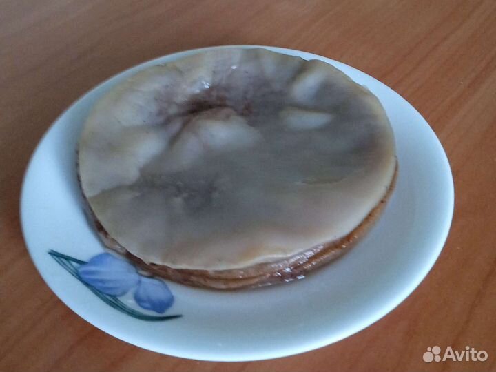 Чайный гриб за шоколадку