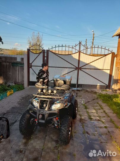 Гризли 250сс механика