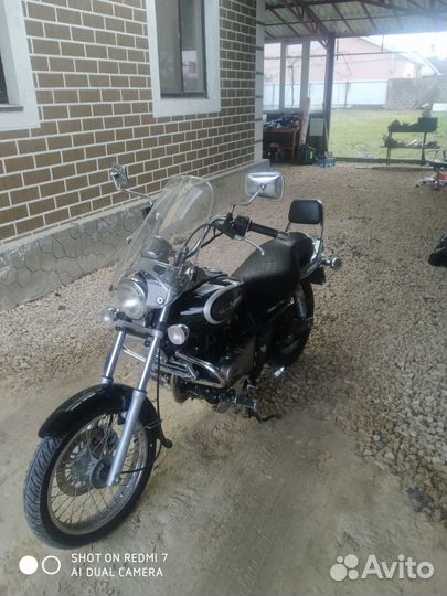 Bajaj avenger cruzer