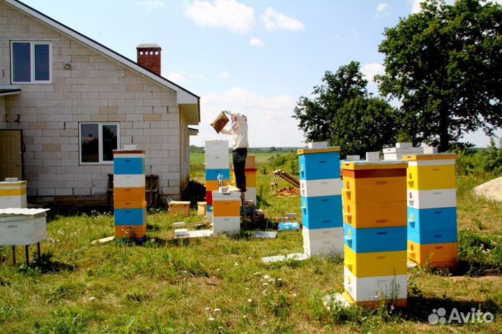 Свежий мед 2023 года из заповедных мест Задонска