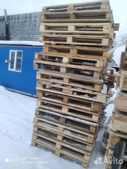 Приму поддоны