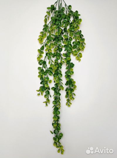 Искусственные букеты эвкалипт ампельный опт