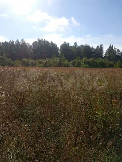 Участок 7,7 га (СНТ, ДНП)