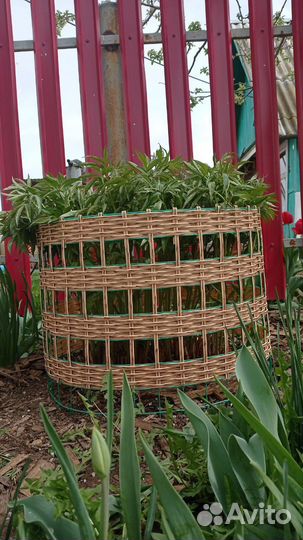 Опора для пионов, гортензий, роз и других растенй