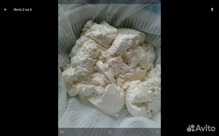 Козье молоко, сыр,творог, козий жир