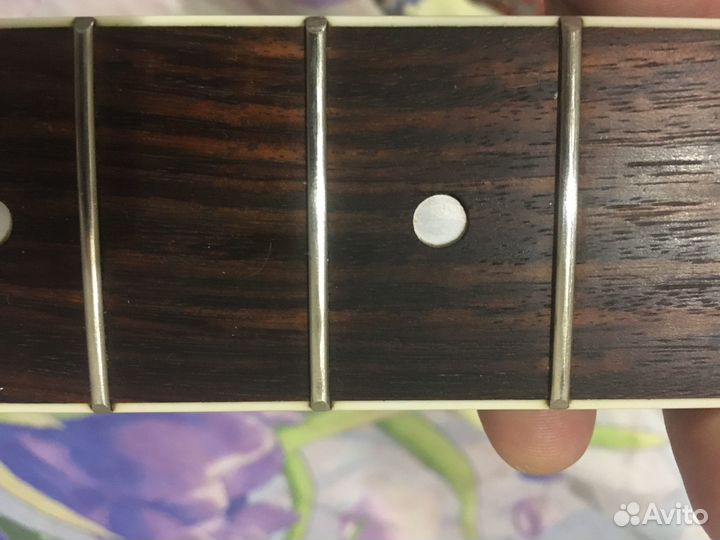 Гитара cremona BW-445C