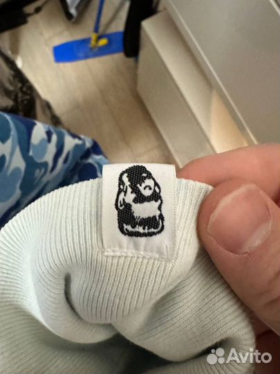 Зип худи bape shark