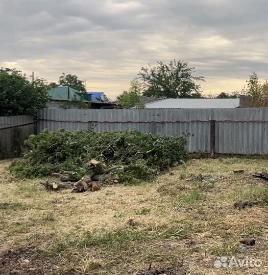 Дрова бесплатно самовывоз