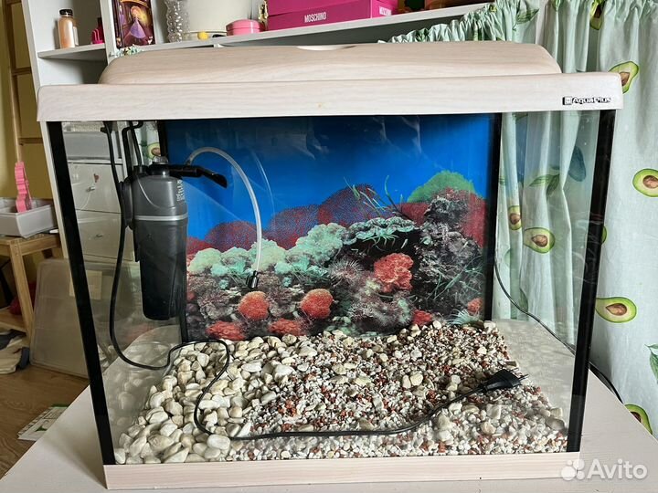 Аквариум