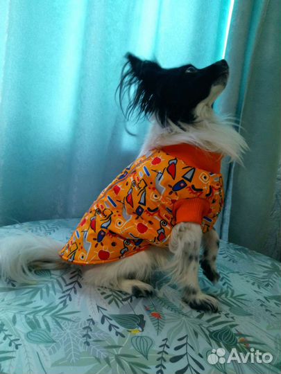 Одежда для собак/кошек мелких пород XS-S