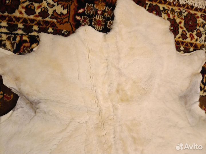 Овечья шкура натуральная