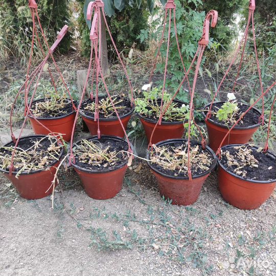 Кашпо подвесной 8 горшков на семена