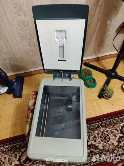 Сканер scanjet 3670