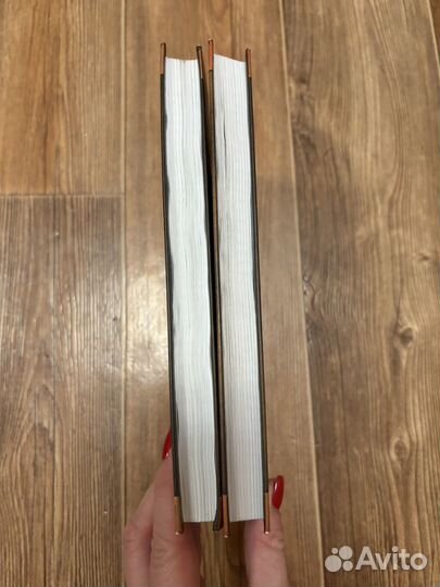 Коты воители Сумерки Закат 2 цикл