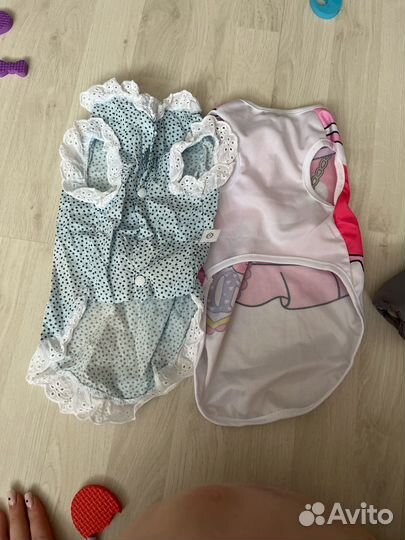 Одежда для собак