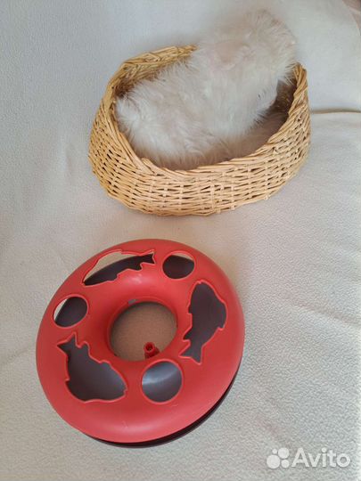 Корзина для кошек