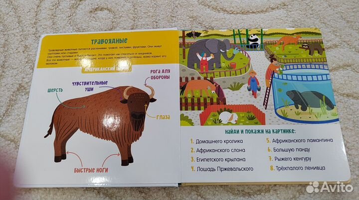 Визуальный словарь животные clever