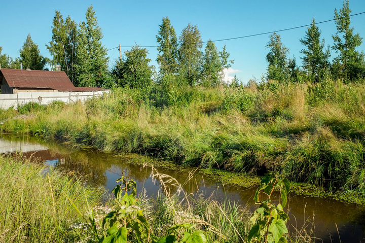 Участок 22,5 сот. (ИЖС)