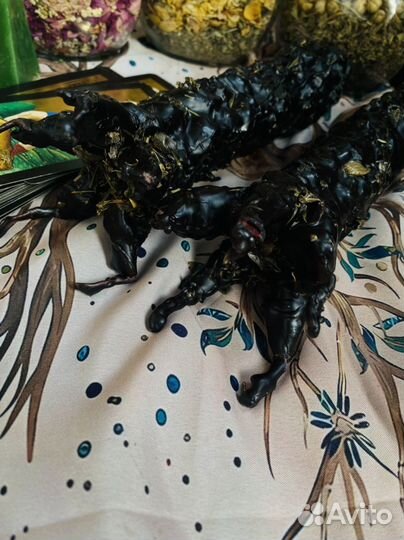 Свеча Огонь Дракона Мощнейшая Чистка 5 сфер