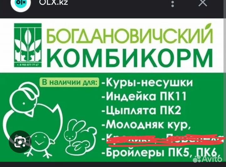 Комбикорм для кур несушек,циплят и индюков