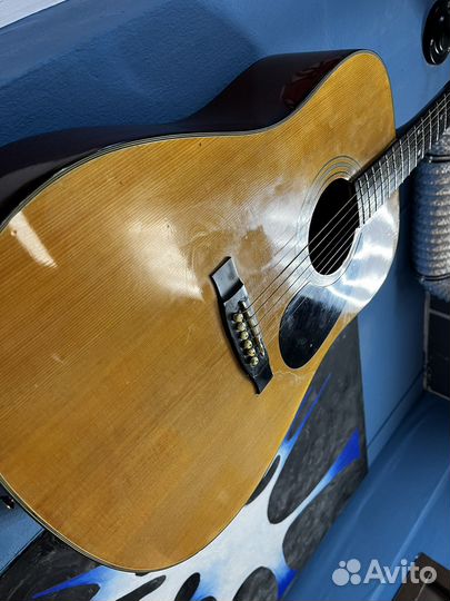 Акустическая гитара Corina