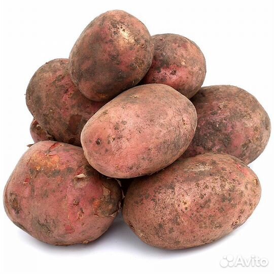 Продам картофель домашний