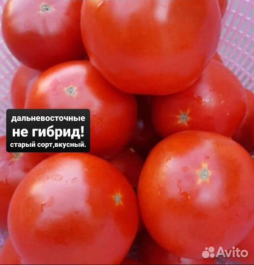 Семена вкусных домашних помидор старых сортов СССР